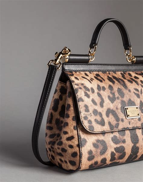 dolce & gabbana leopard bag.